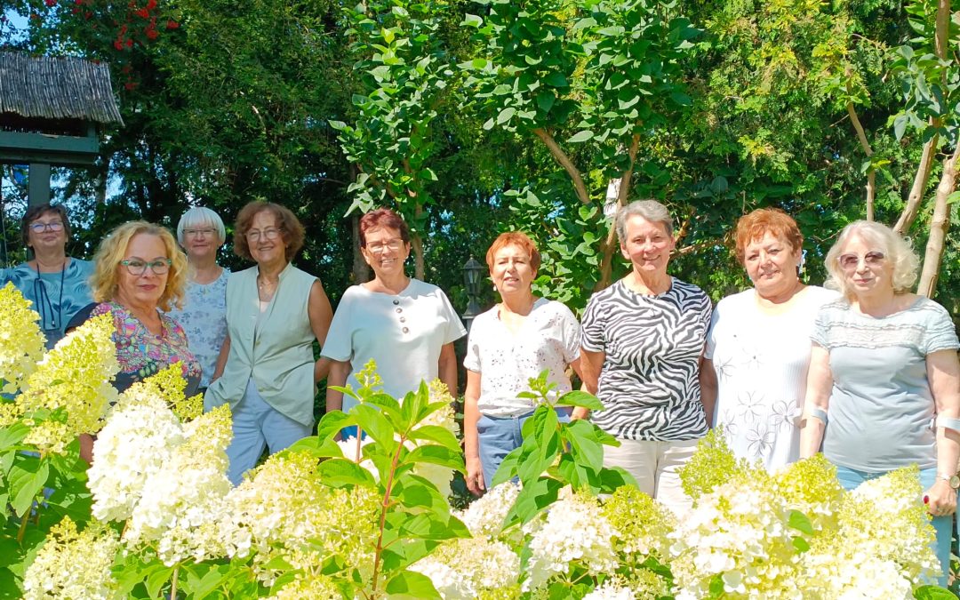 Zespół administratorek pracuje