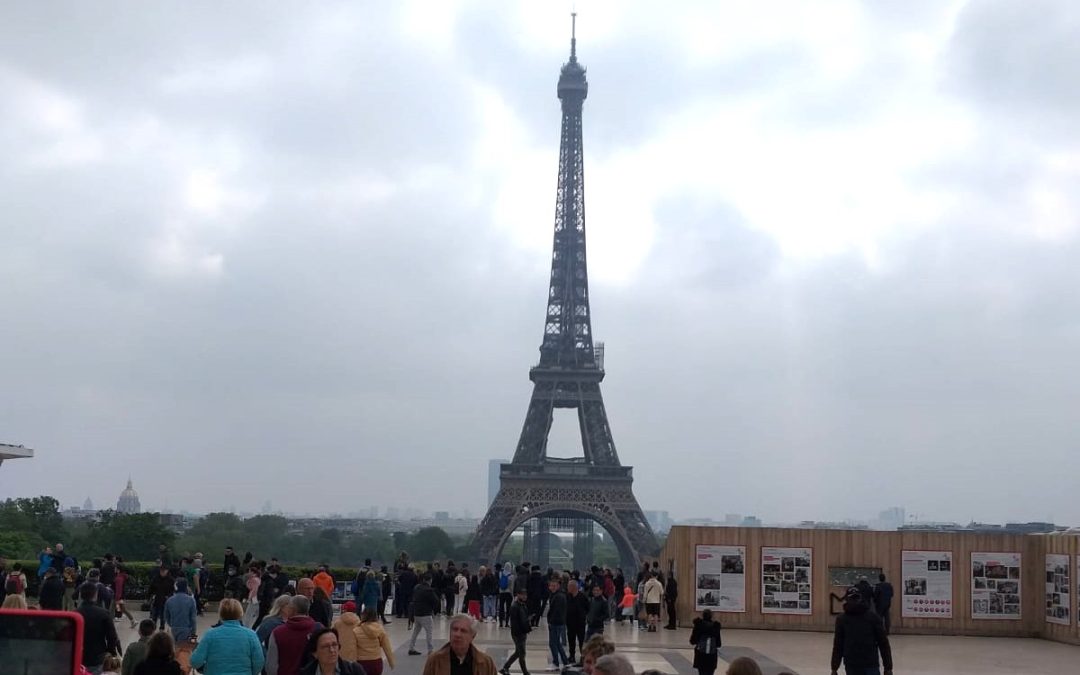 Nowe zajęcia – konwersacje w języku francuskim