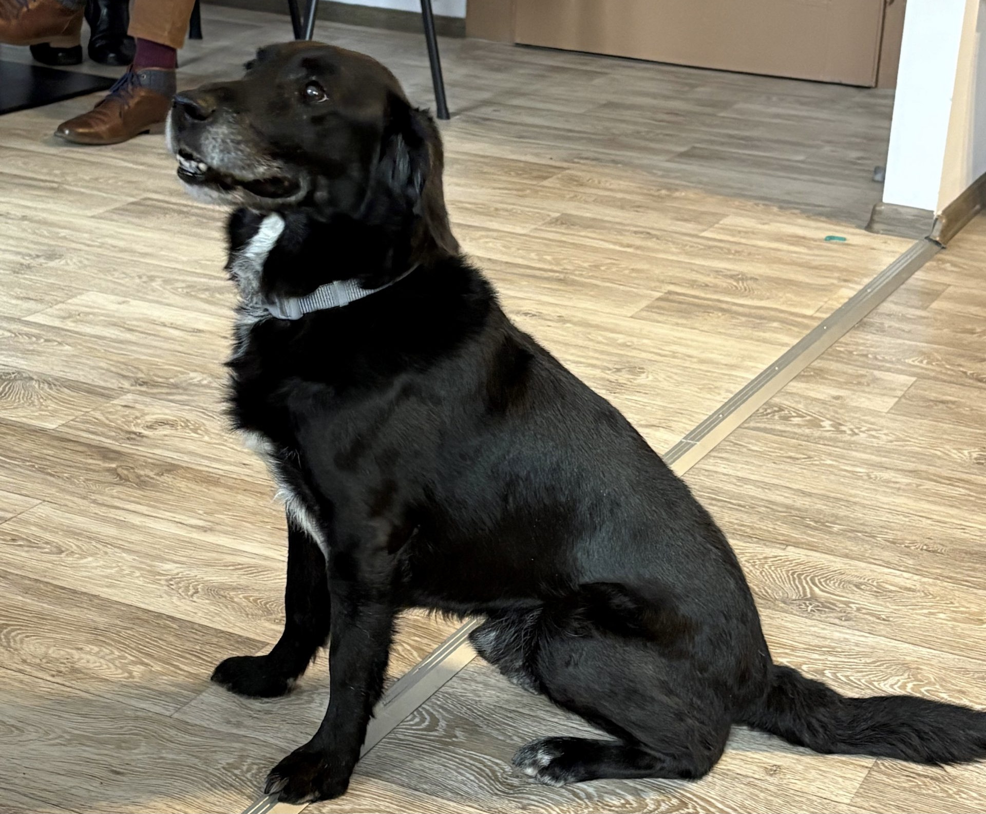 Suarez-gwiazda-spotkania1-KAS-scaled