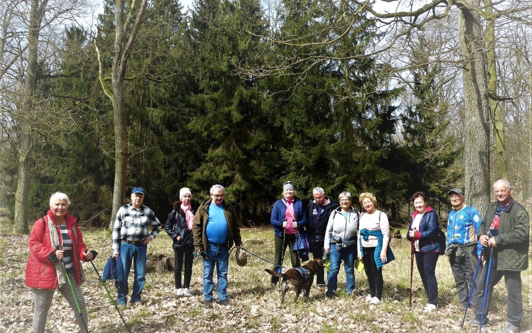 Migawki z sobotniego spacerku