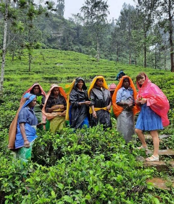 Majowe spotkanie z podróżą życia – Sri Lanka oczami pani Ireny (zdjęcia)