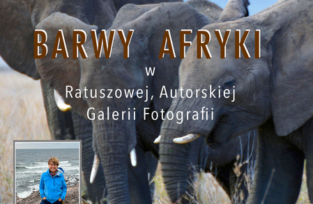 Wernisaż fotografii Iwony Waligórskiej