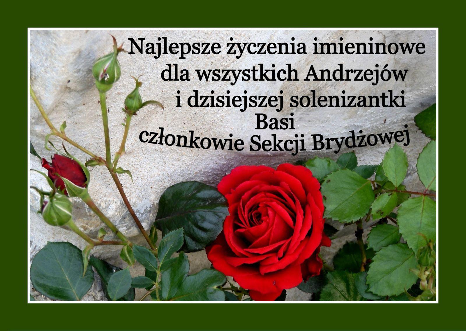 PHOTO-2025-12-05-21-19-11