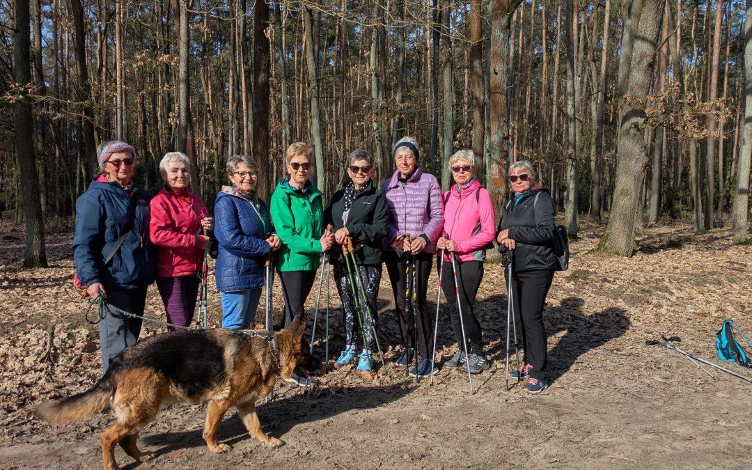 Aktywny poniedziałek: marsz z kijkami w Karczmie Borowej!