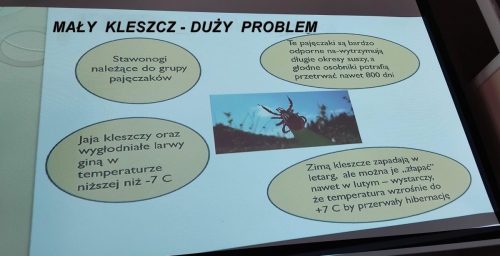 Temat prelekcji i opis kleszcza