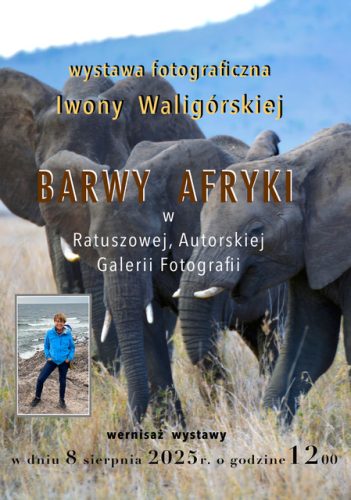 1 plakat na wystawę wersja