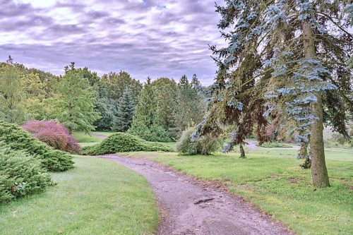 Malowniczy park wokół pałacu w Ciążeniu