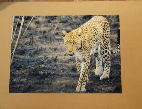 12 kilka zdjęć z wystawy 5