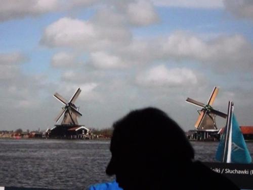 Takie wiatraki sugerują że płyną po wodach Holandii