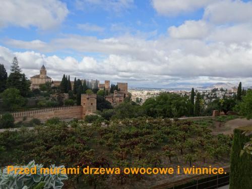 10b przed murami Alhamry