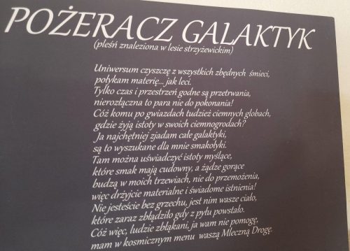 Opis do zdjęcia poprzedniego