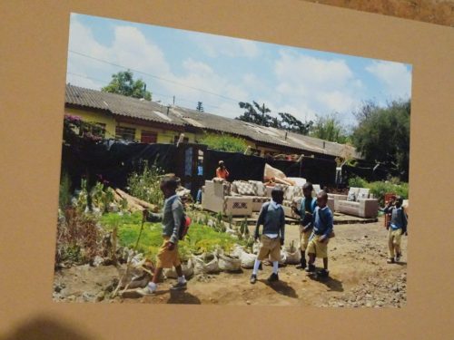 13 Zdjęcie z wystawy