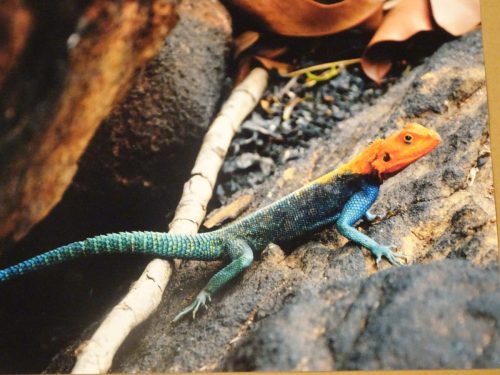 14 Warto zobaczyć cały zestaw pięknych zdjęć