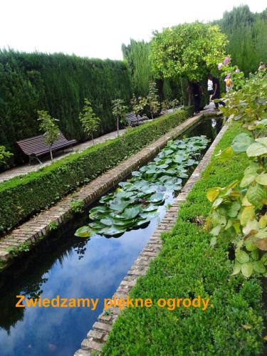 17 ogrody Alhambry