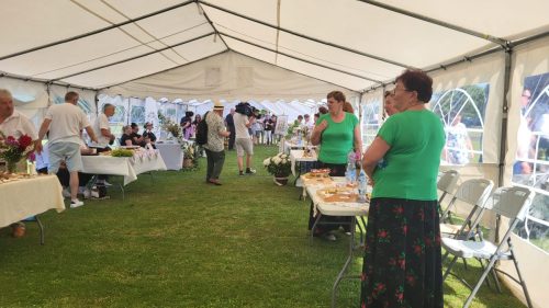  święto szparaga Mochy