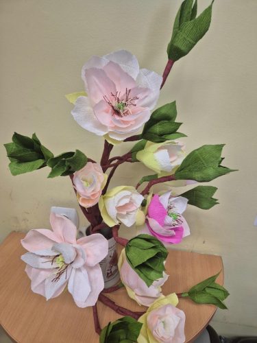magnolia
