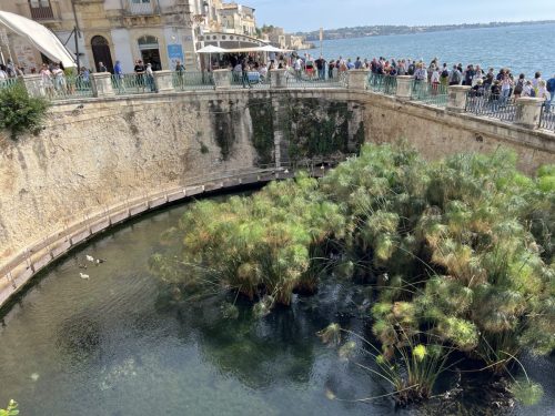 Spacer po wyspie Ortigia-źródełko Aretuzy