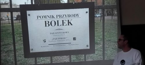 4 Tabliczka opisująca słynny dąb..