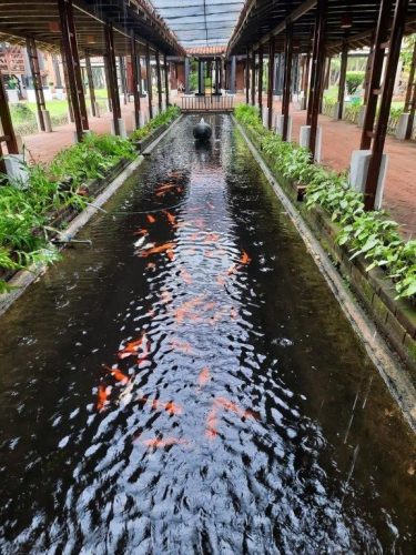 4 wejście do hotelu