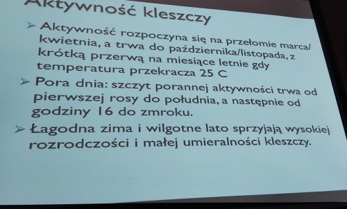 Kiedy najczęściej możemy ,,złapać,, kleszcza