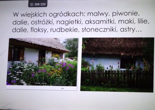  Ogródki przed domem pojawiły się ok. XIX wieku.