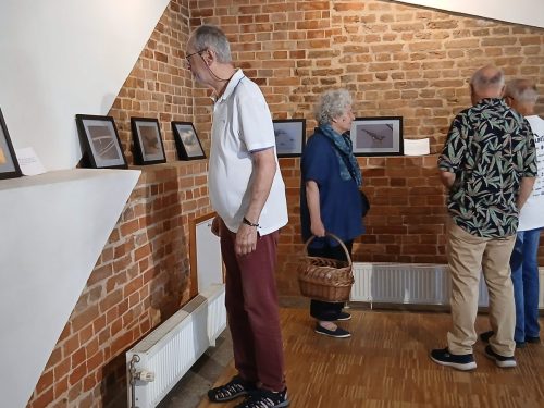 Starosta sekcji Tadeusz Kin z zainteresowaniem ogląda fotografie.
