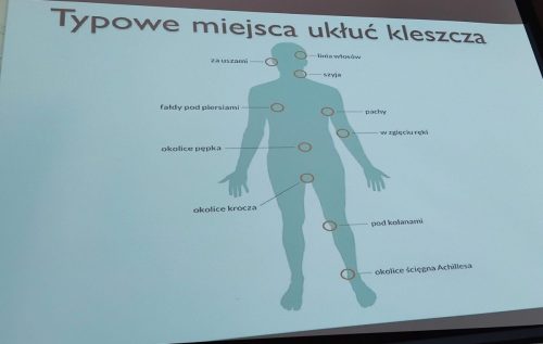 W których miejscach sprawdzać się