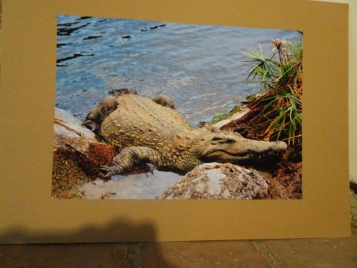 8 kilka zdjęć z wystawy 1