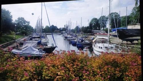 Marina - jedna z wielu w których się zatrzymywali aby wyjść na brzeg i zwiedzić okolice