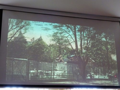 6 pocztówka Leszczyńskiego Zwierzyńca z początku XX wieku