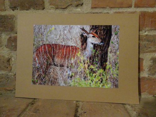 9 kilka zdjęć z wystawy 2