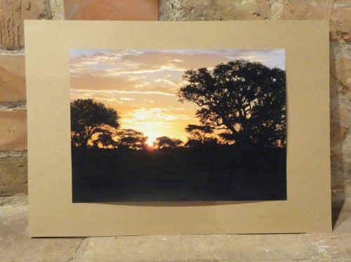 10 Kolejne zdjęcie z wystawy