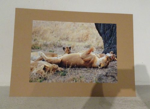 11 I kolejne zdjęcie  z wystawy 4