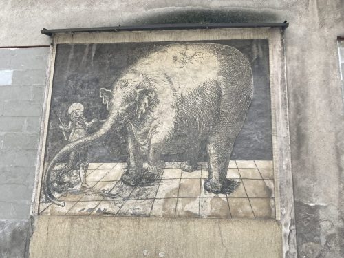 Trzebiatów - sgraffito słonia