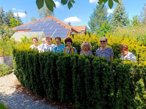 Adminki w zielonym labiryncie