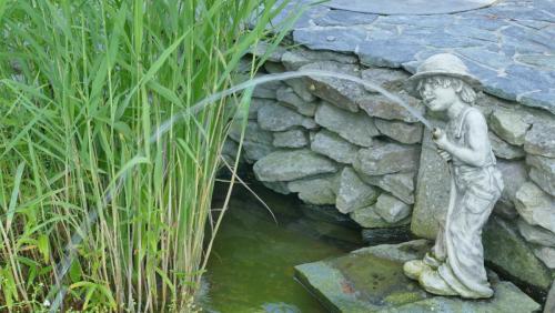 Chłopczyk podlewa roślinki