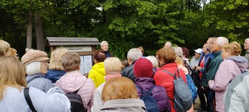 Ciekawe opowieści Olka