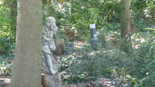 Leśna druidka schowana za drzewem