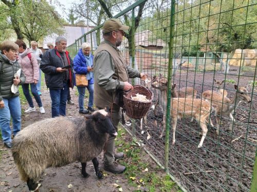 Gospodarz karmi zwierzęta w skansenie
