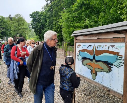 Już wiemy jaką rozpiętość skrzydeł mają ptaki