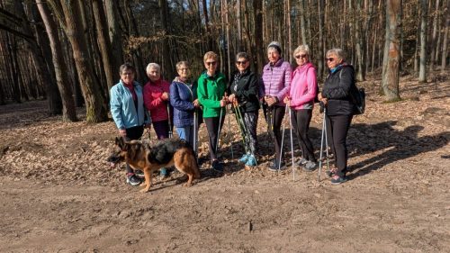 Kijki grupa Grażyny 2026-03