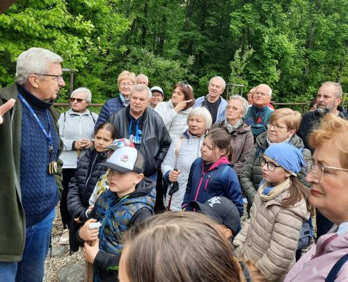 Leśnych opowieści ciąg dalszy