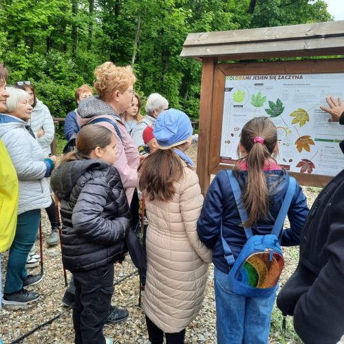 Poznajemy barwy jesieni