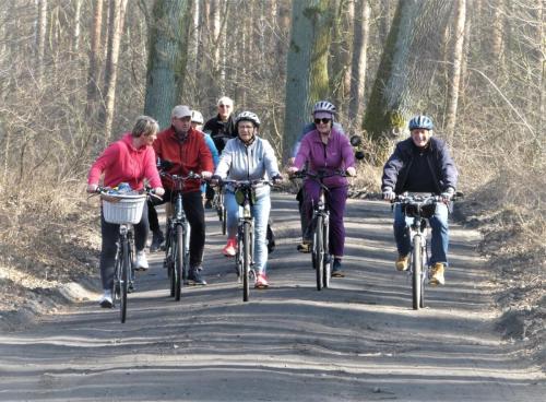 Rowerzyści na leśnym dukcie, gra świateł i cieni