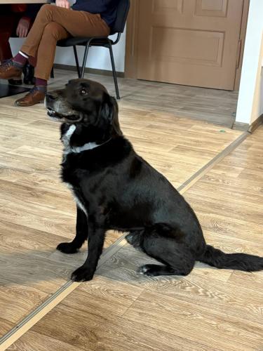 Suarez-gwiazda spotkania 