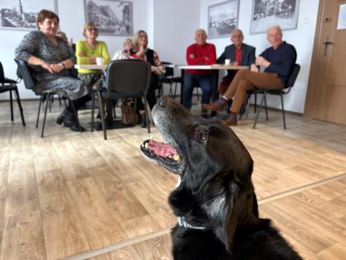 Suarez też zabiera głos