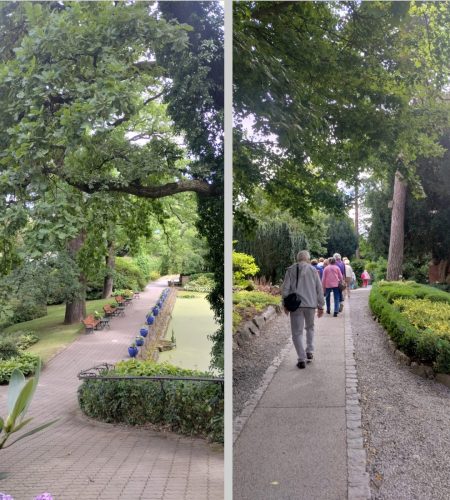 Wyruszamy na spacer pięknymi dębowymi alejkami