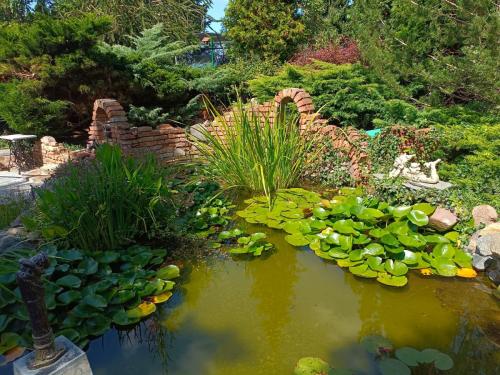 Zaglądamy do zakątków w tajemniczym ogrodzie