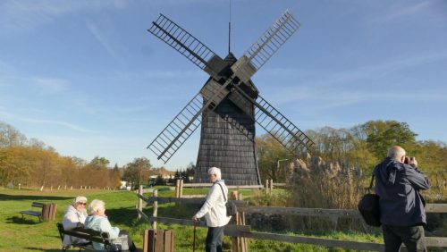 Uwieczniamy uroki jesieni i cieszymy się piękną pogodą w trakcie pleneru