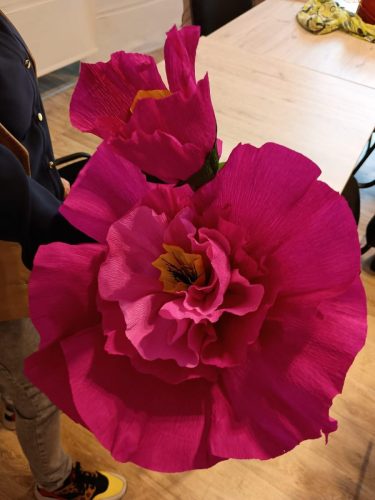 Piękne peonie cieszą  oko